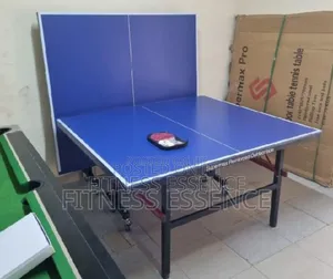 Outdoor Table Tennis With Bat