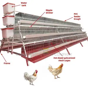 Upgrade Your Farm 96-Bird Cage 20-Year Guarantee Efficiency