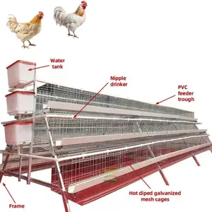 Efficient 20yrs 96-Bird Poultry Cage Superior Construction