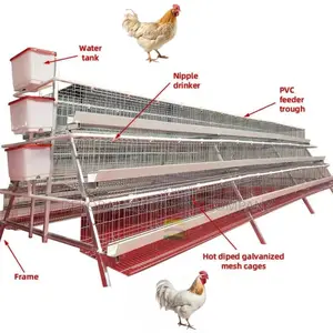 Invest in Quality 96-Bird Poultry Cage 20-Year Durability