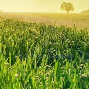 3,500 Acres of Industrial Land