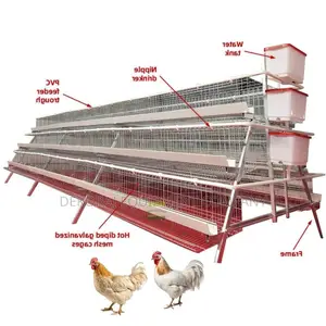 96-Bird Capacity Cage Durable, Efficient, Long-Lasting