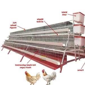 Maximize Efficiency 96-Bird Cage With Superior Construction