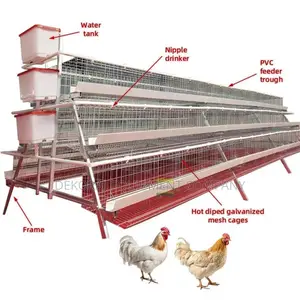 Top-Tier Poultry Cage 96-Bird Capacity, 20-Year Guarantee