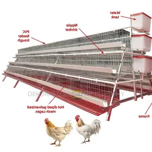 Invest Smart 96-Bird Cage With 20-Year Durability Guarantee