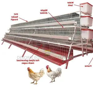 Superior 96-Bird Cage: Built to Last, 20-Year Guarantee