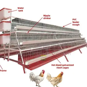 96-Bird Capacity Poultry Cage Efficiency, Durability 20-Year