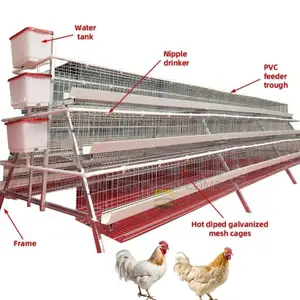 Maximize Your Farm’S Potential 96-Bird Poultry Cage, 20-Year