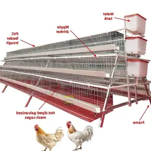 High-Efficiency 96-Bird Cage Superior 20-Years Durability