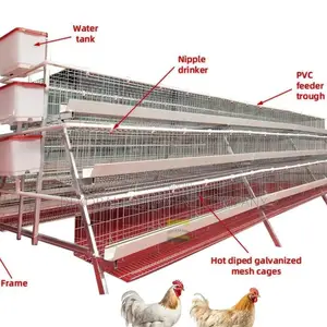 96-Bird Cage: Optimal Space Utilization, 20-Year Guarantee