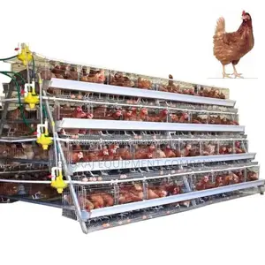 96-Bird Poultry Cage for Large-Scale Farms 20-Year Guarantee
