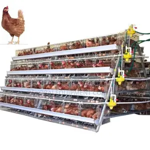 Optimize Poultry Farming 160-bird Cage,Transfer Crates