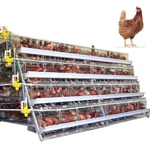 Superior 96-bird Cage: Efficiency, Durability, 20-year