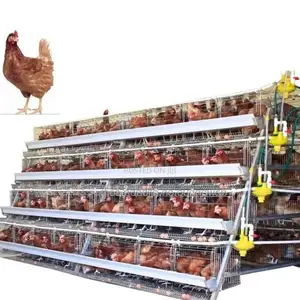 Imported 160 Birds Layer Battery Cage,Eggs,Nipple Drinker