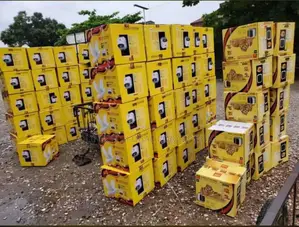 10 Liters Sweet Home Water Heater