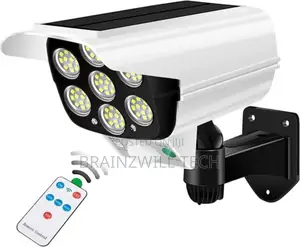 Outdoor LED Solar Light
