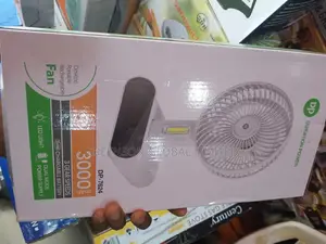 Rechargeable Fan