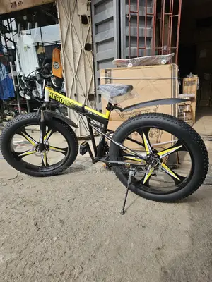 Big Tyre Alloyed Rim Bicycle