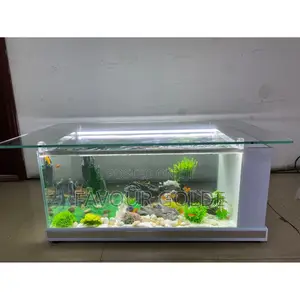 Centre Table Aquarium