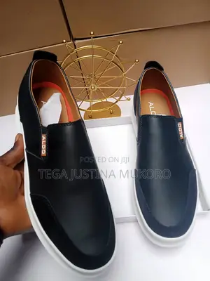 Aldo Footwear for Men
