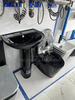 Mirror Black Executive WC and Washing Hands Basin