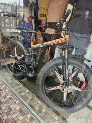 Big Tyre Bicycle Alloyed Rim Fx20