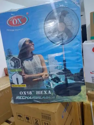 Best Deal 18'' OX Rechargeable Standing Fan