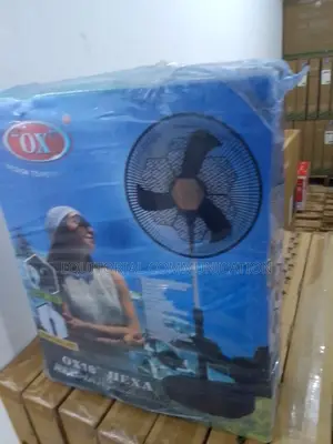 Market Best 18inches Standing Fan Hexa