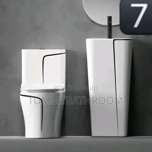 White and Black WC With Standing Basin