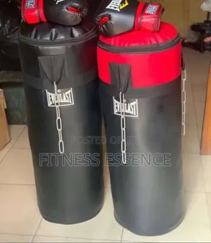 Everlast Punching Bag