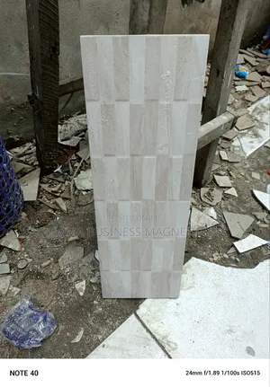 20×60 High Quality Spanish Walls Tiles