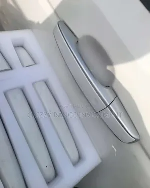 Range Rover 2018 Door Handle