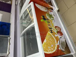 Nexus Showcase Chest Freezer NX 355