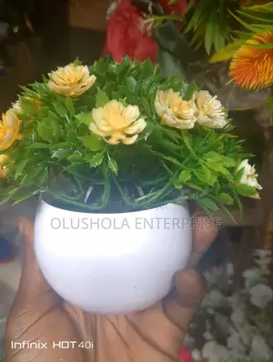 Mini Flower  Pot