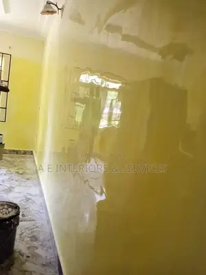 Stucco and Decorative Painting