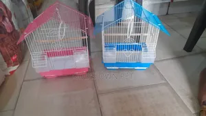 Portable Cages for Any Kind of Small Birds