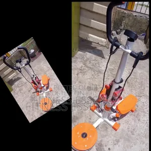 New Standing Stepper With Twister