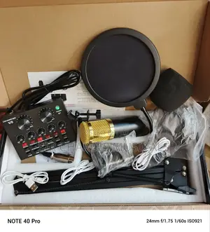 Bm-800 Professional Condenser Microphone With Sound Card