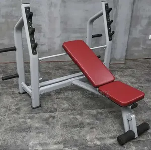 Olympic Weight Bench With Multifunction