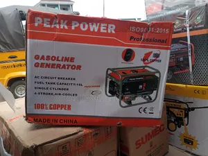 Authentic Peak Power 2.5kv Remote CTRL Generator-100% Copper