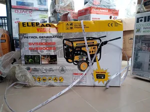 Elepaq Sv6800e2 Timer Generator With Key Tyre