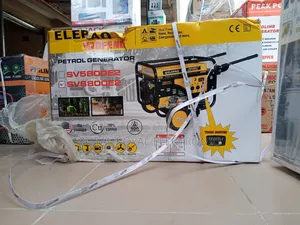High Quality Elepaq Sv6800e2 Timer Generator With Key Tyre