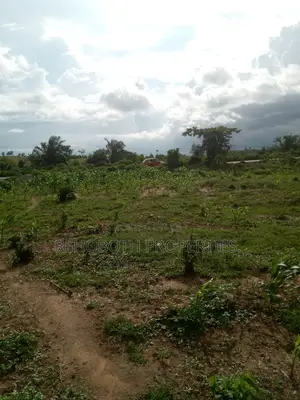 For Sales 5 and Half Acres of Farm Land .