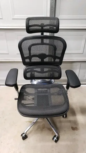 Ergohuman Chair