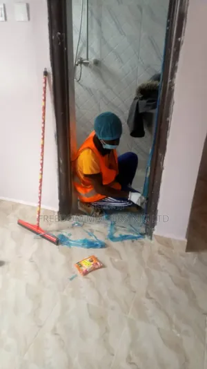 Professional Post Construction Cleaners