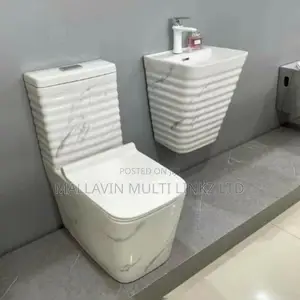 High Executive WC and Wall Hung Basin