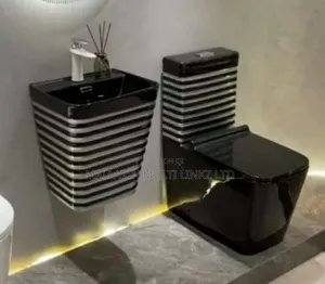 Executive Toilet Seats(Wc) and Hanging Basin