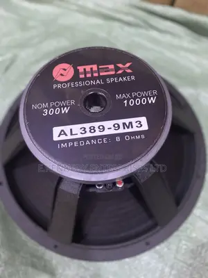 Omax Professional 15 Inches Naked Speaker