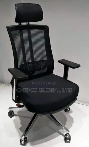 Office Chair (Ergonomic)