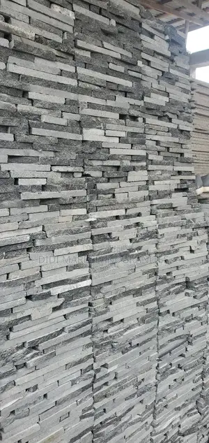 Black Paladina for Wall